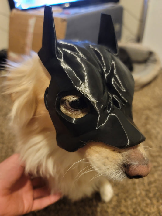 Hero Pup Mask – 3D Printed Pet Costume (Fall Edition)